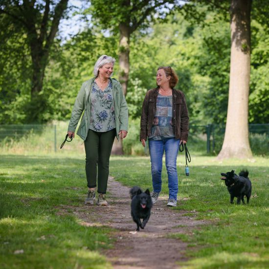 HR Brnhvn 31Mei2022 0480 Hond Uitlaten