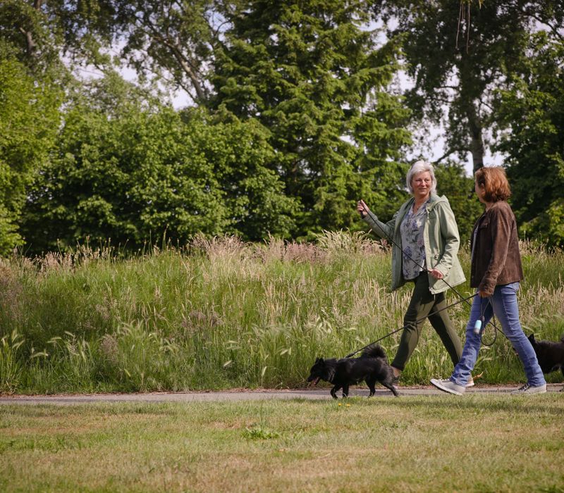 HR Brnhvn 31Mei2022 0607 Hond Uitlaten 4