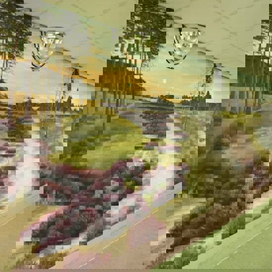 Overzicht 2